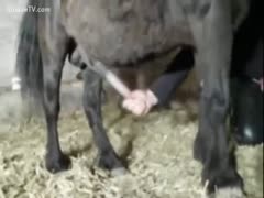 A little moment of fun at the farm
